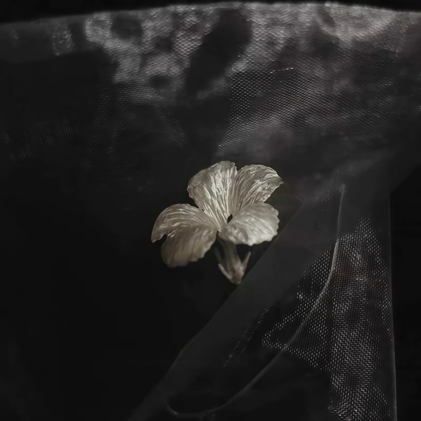 After Bloom Earrings