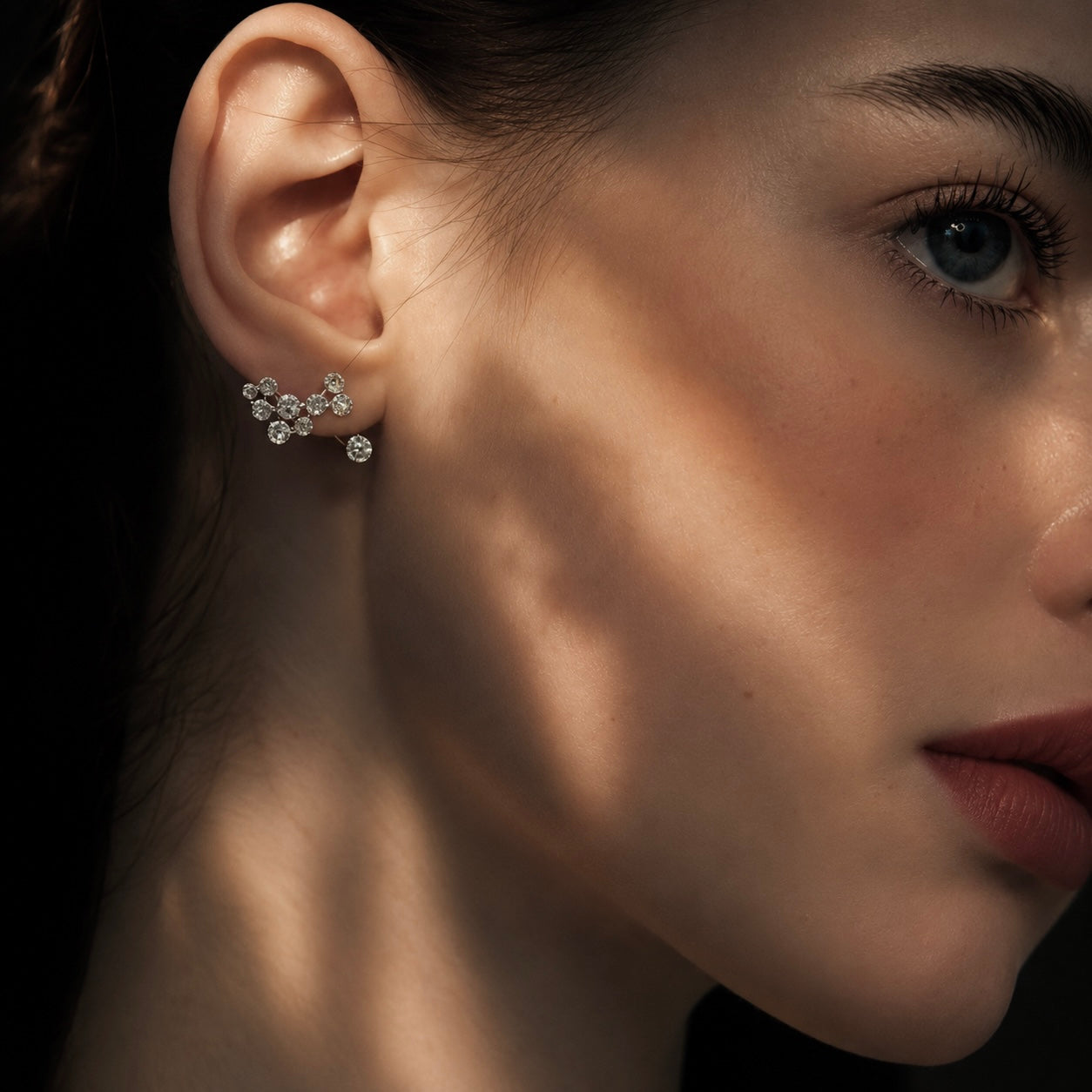 Cluster Arc Earrings