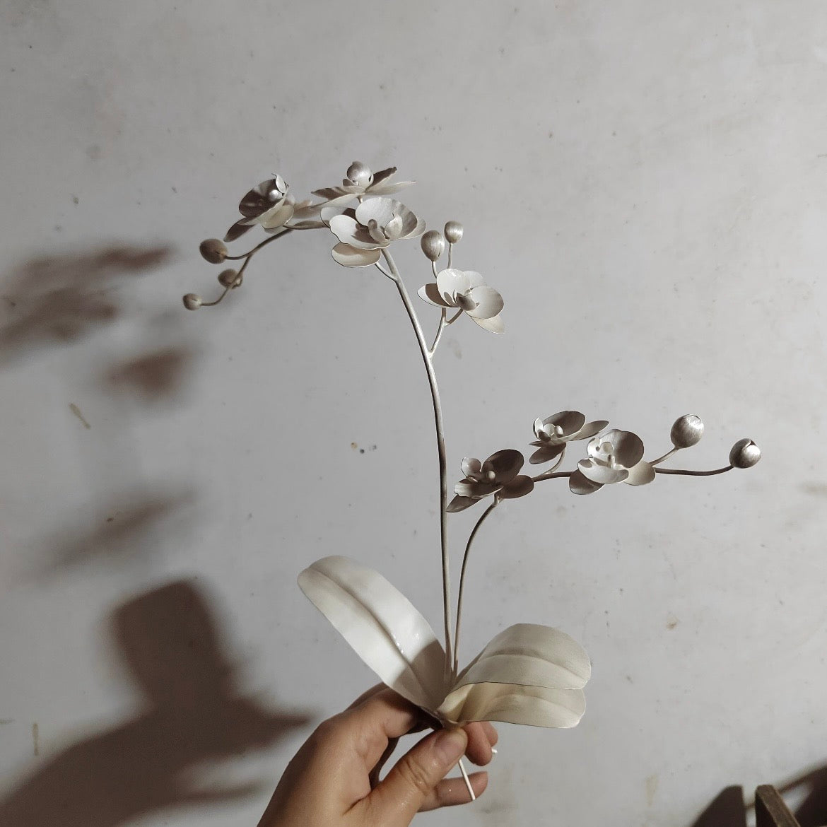 Orchid Form — No.1