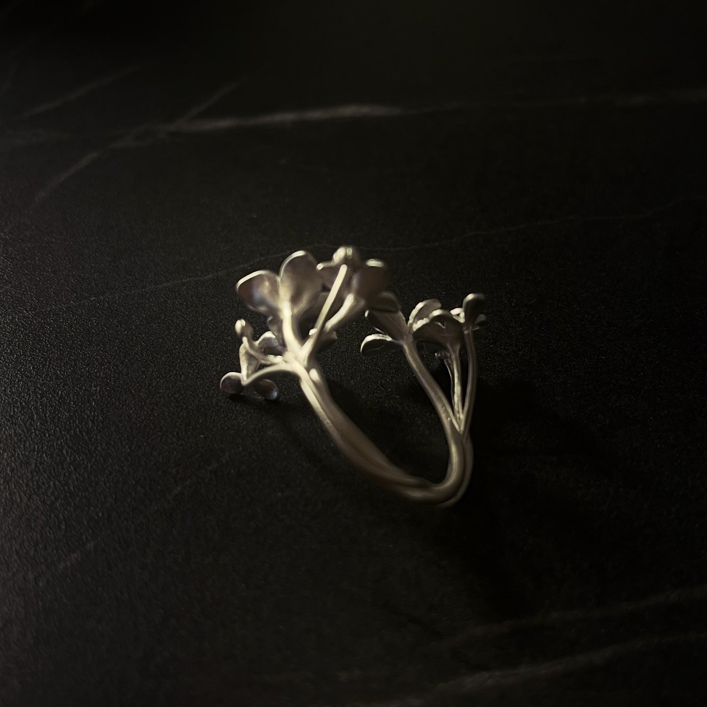 Sovereign Ascent Ring