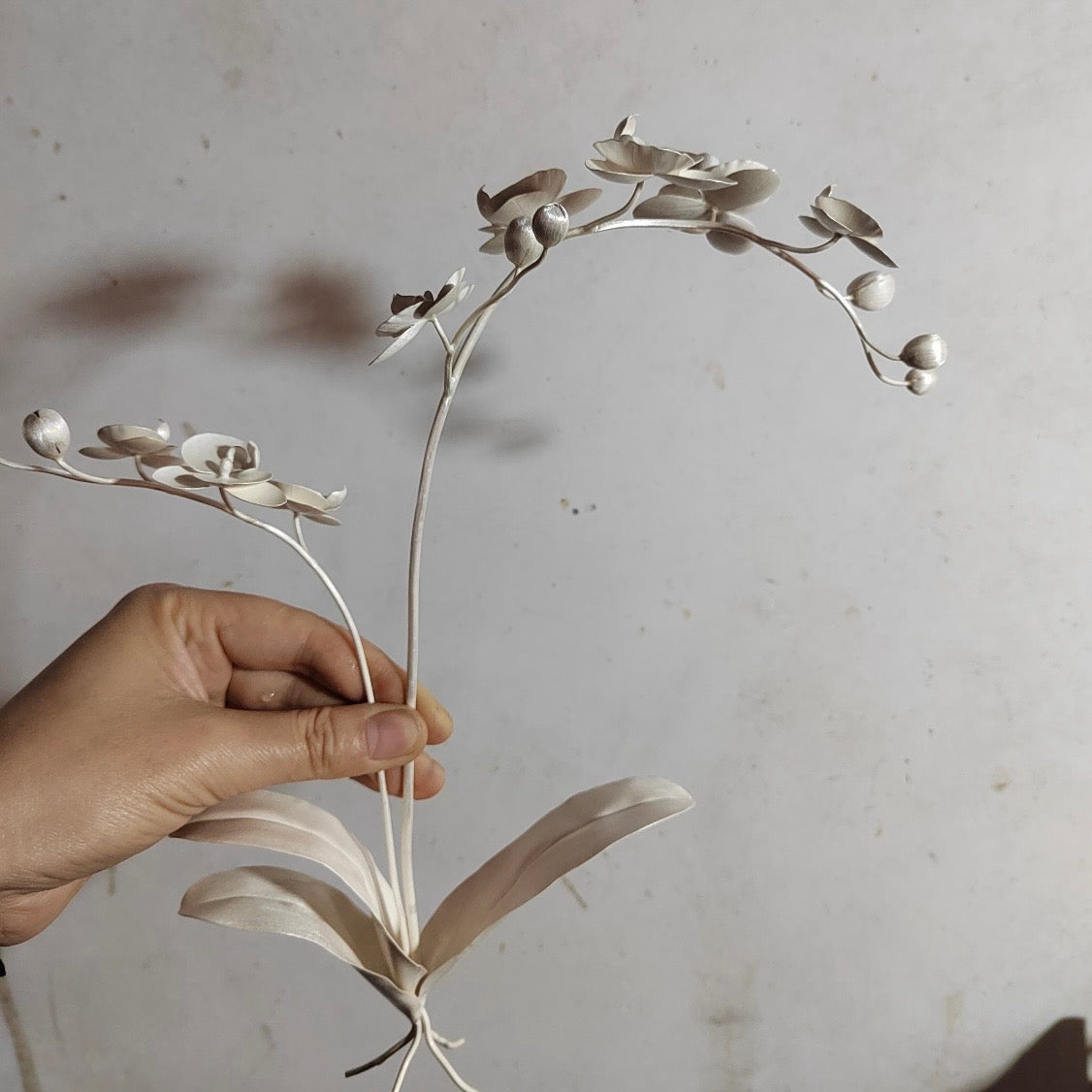 Orchid Form — No.1