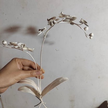 Orchid Form — No.1