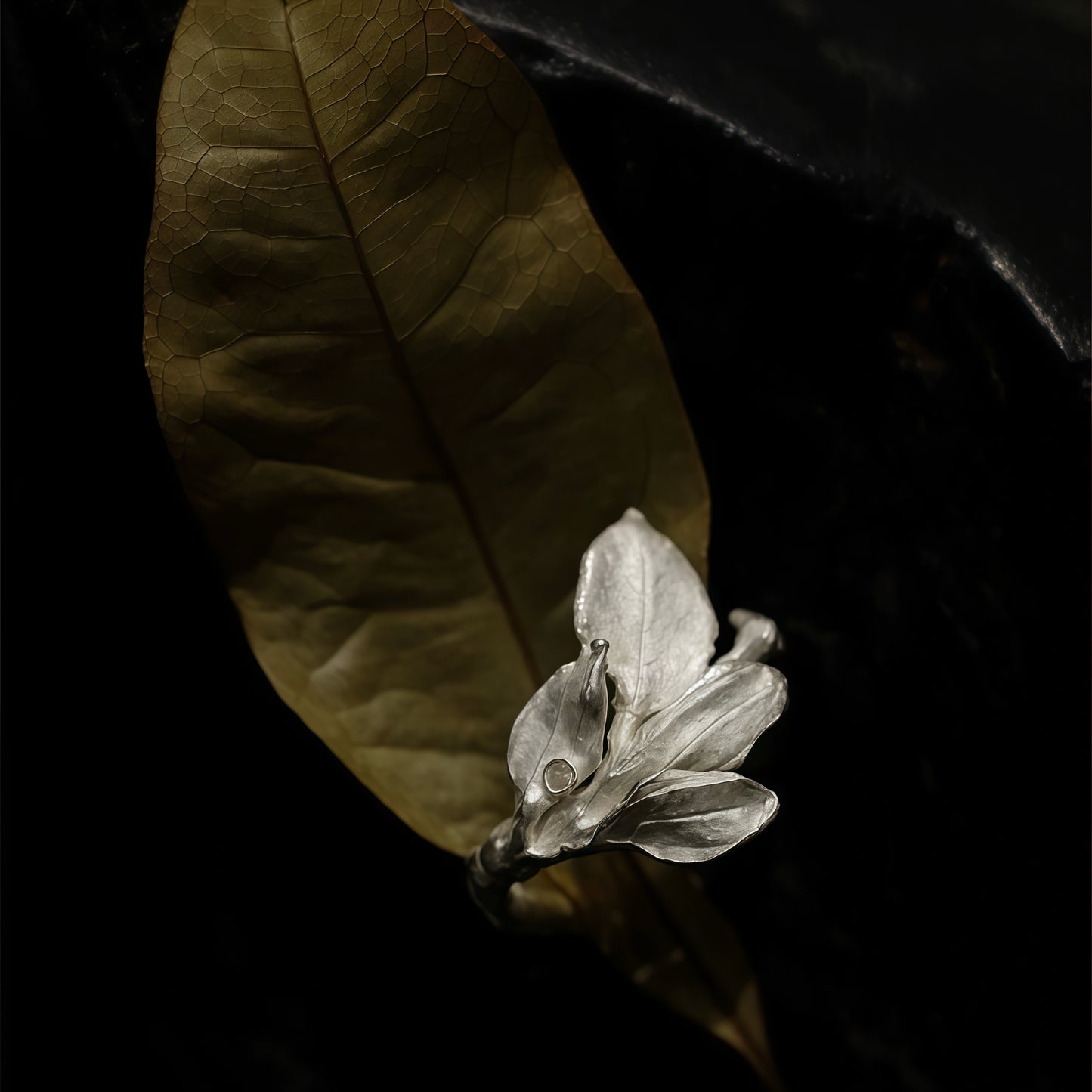 Leaf Becoming Ring