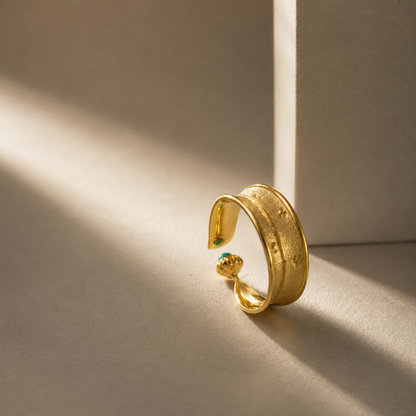 Echoes of Time Ring