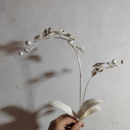 Orchid Form — No.1