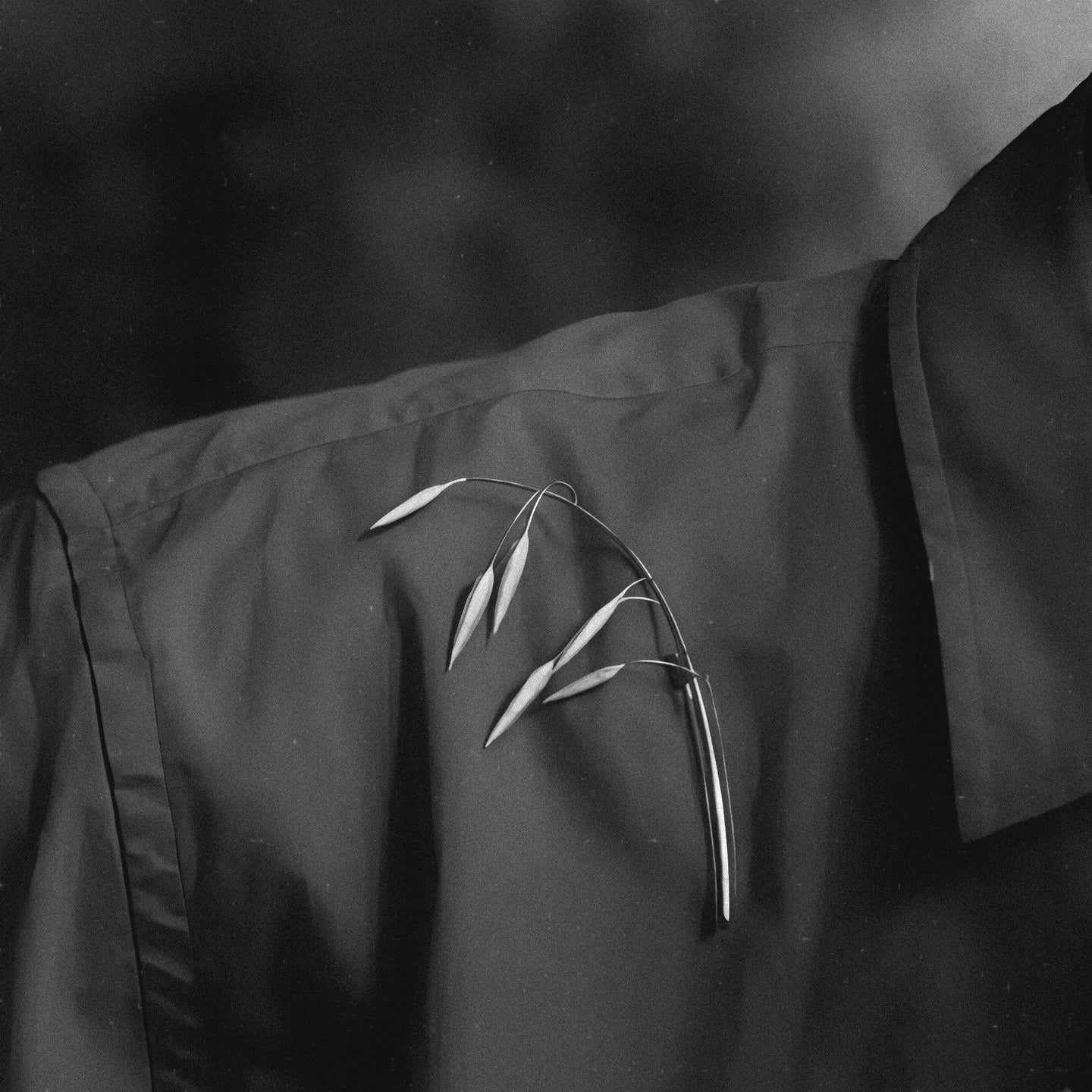 Golden Oat Whisper Brooch - Made to Order (15-Day Craft)